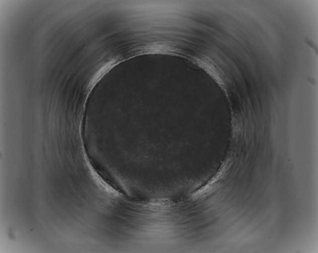 X0000097630946200802291337