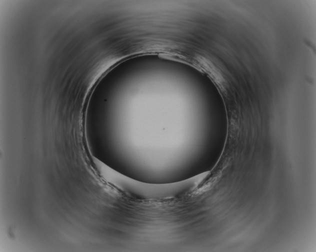 X0000097630948200802291337