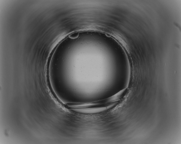 X0000097630949200802291337