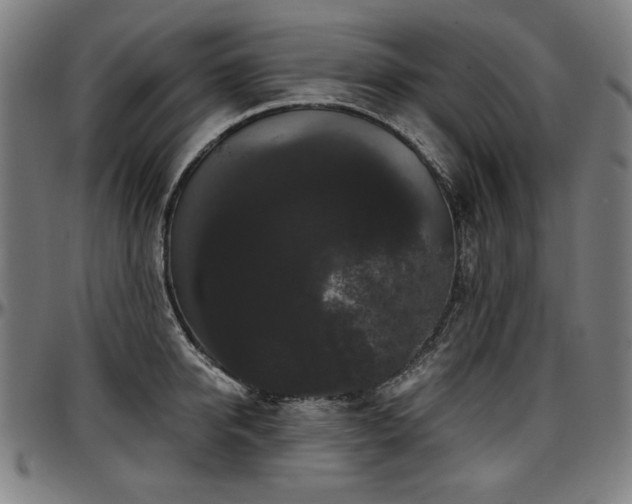 X0000097630950200802291337