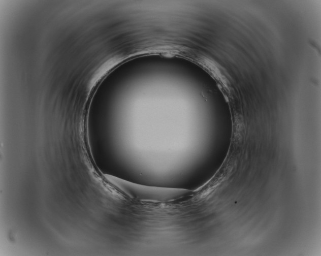 X0000097630952200802291337