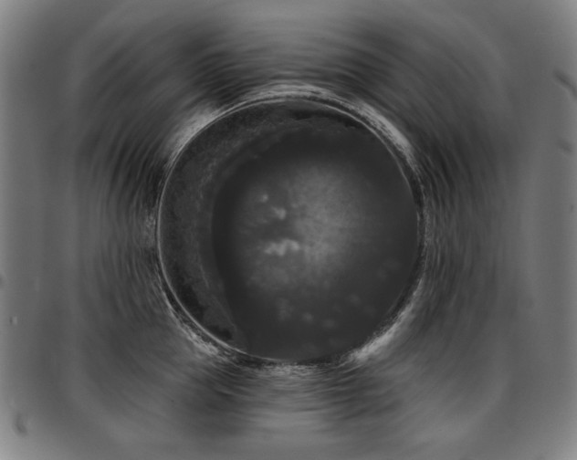 X0000097630953200802291337