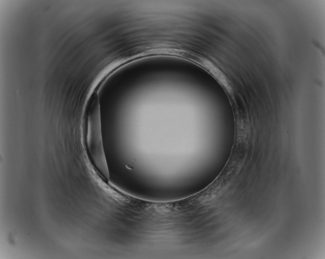 X0000097630955200802291337