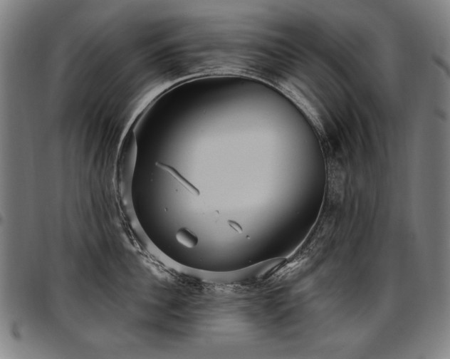 X0000097630956200802291337
