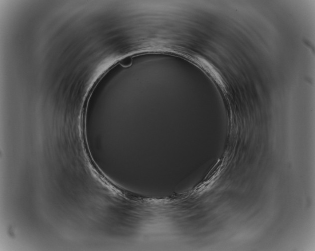 X0000097630958200802291337