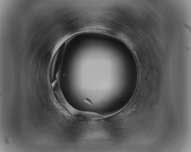 X0000097630960200802291337