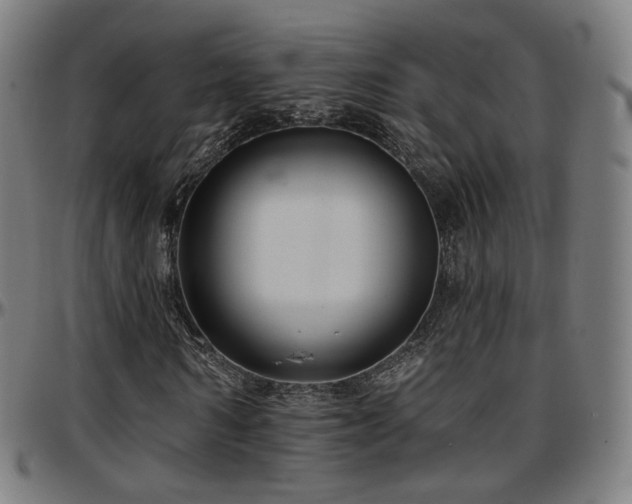 X0000097630962200802291336