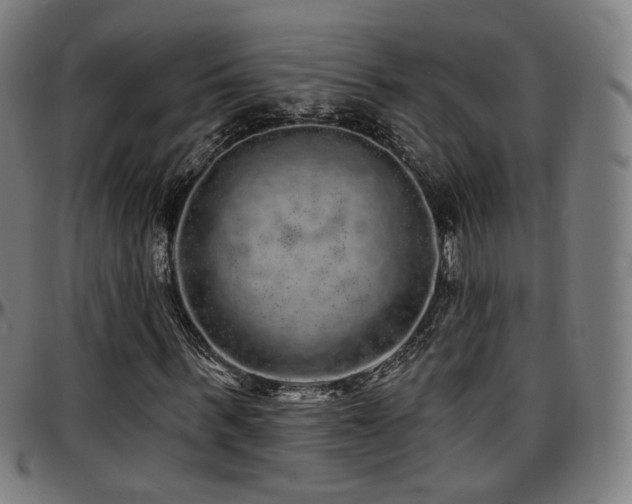X0000097630963200802291336