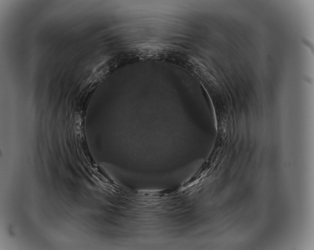 X0000097630964200802291336
