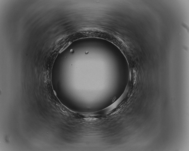 X0000097630965200802291336