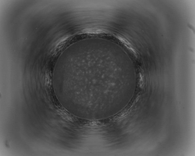 X0000097630966200802291336