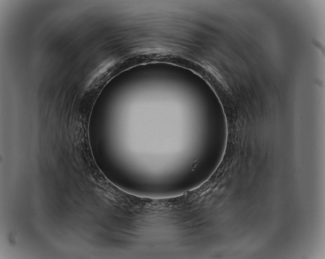 X0000097630967200802291336