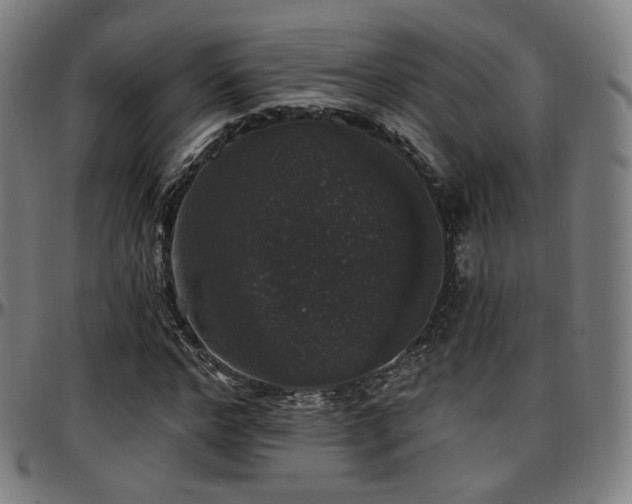 X0000097630968200802291336