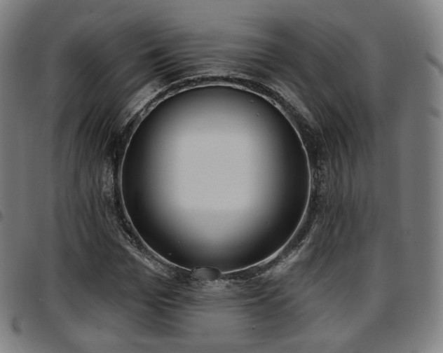 X0000097630969200802291336