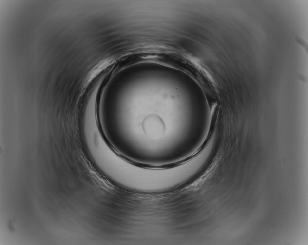 X0000097630970200802291336