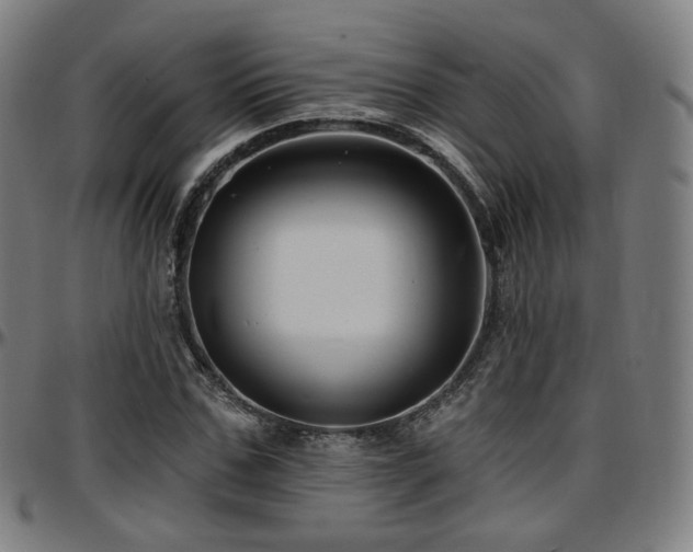 X0000097630971200802291336