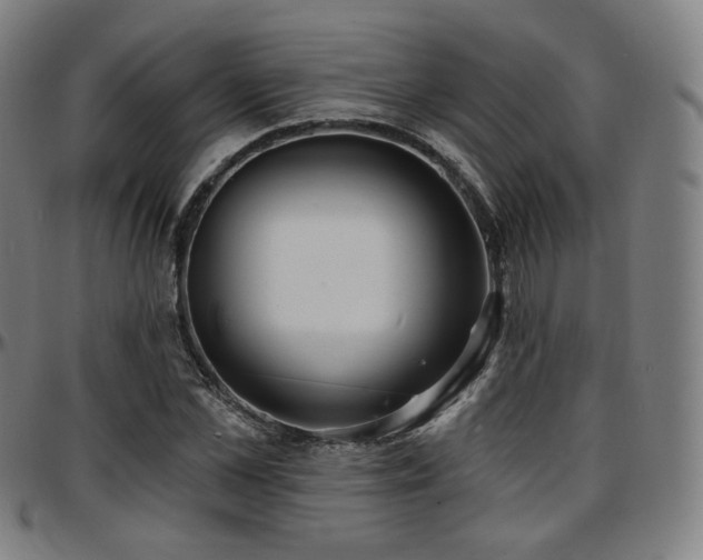 X0000097630973200802291336