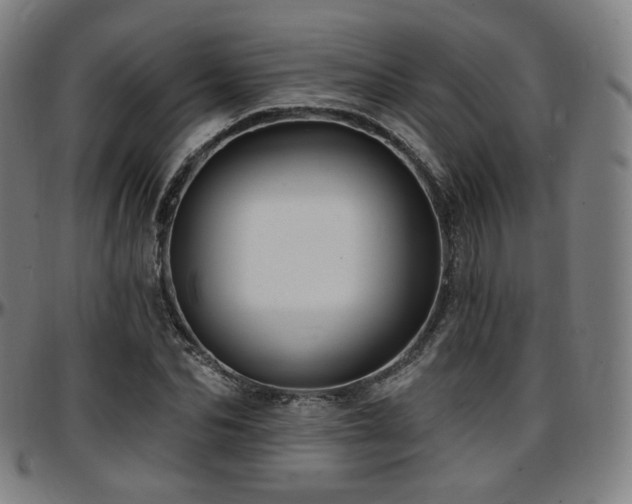 X0000097630974200802291336