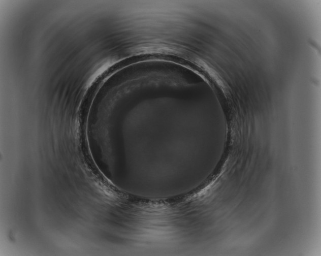 X0000097630975200802291336