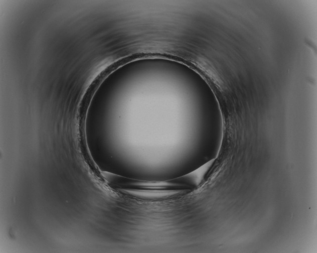X0000097630976200802291336