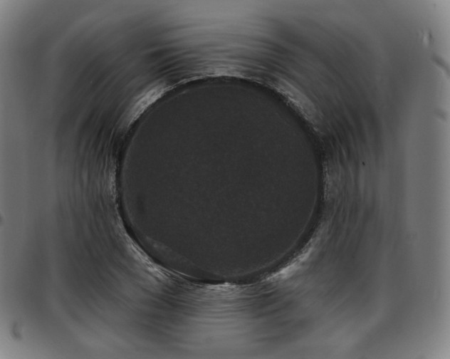 X0000097630977200802291336