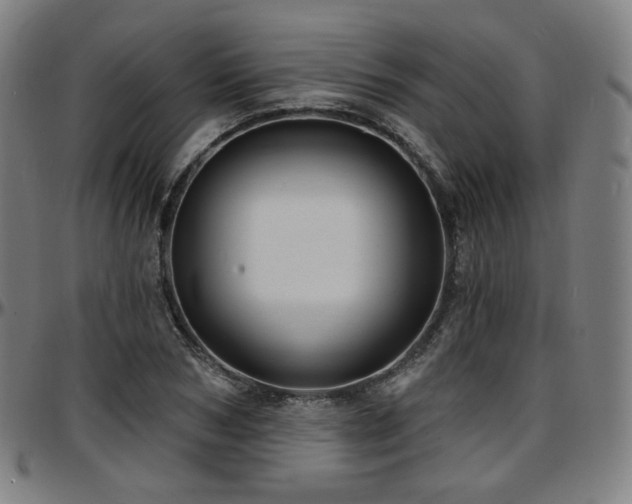X0000097630978200802291336