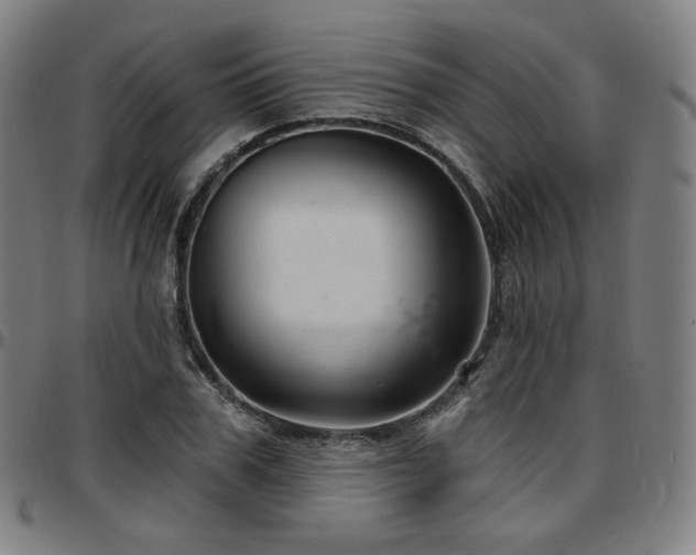 X0000097630979200802291336