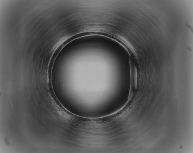 X0000097630980200802291336