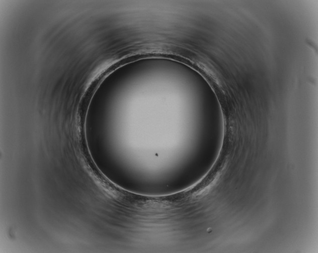 X0000097630981200802291336