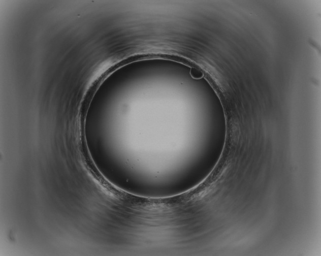 X0000097630982200802291336