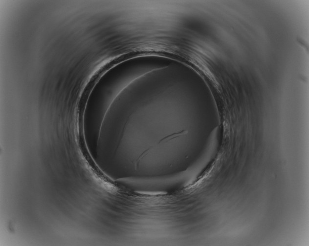 X0000097630984200802291336