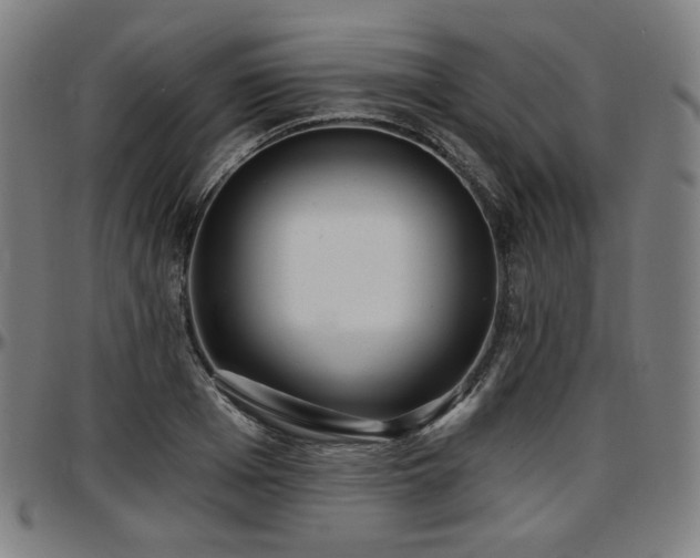 X0000097630985200802291336