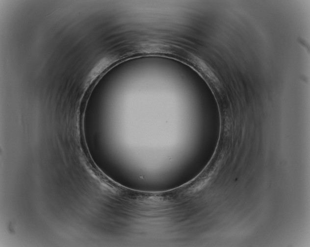 X0000097630986200802291336