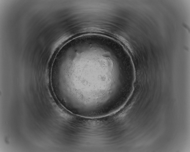 X0000097630987200802291336