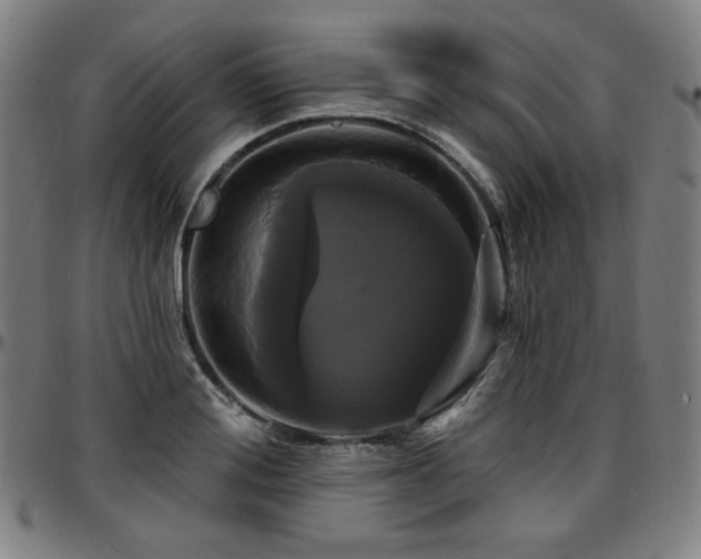 X0000097630988200802291336