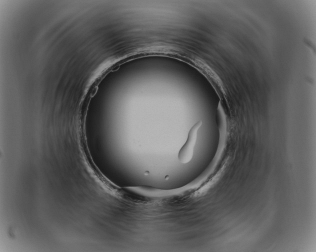 X0000097630989200802291336