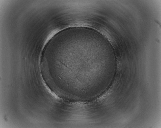 X0000097630990200802291336
