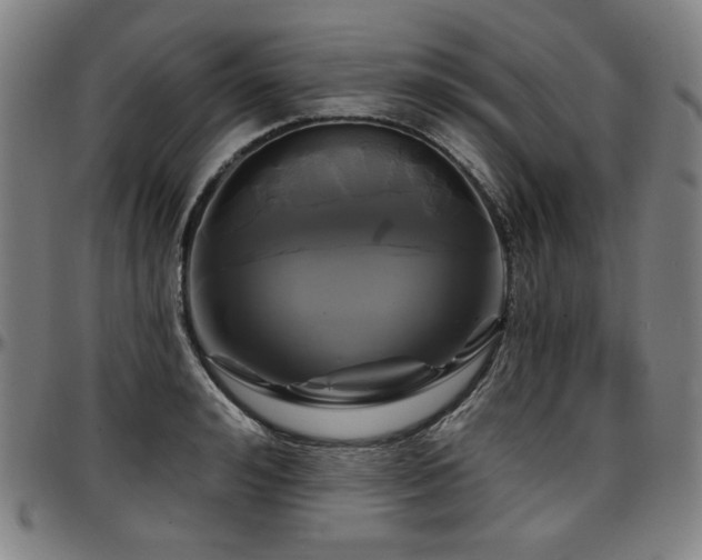 X0000097630992200802291336