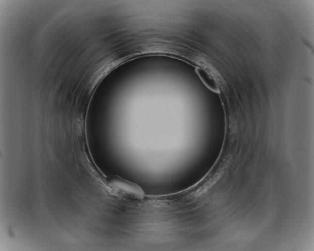 X0000097630993200802291336