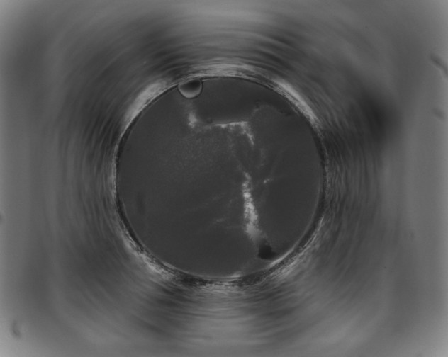 X0000097630994200802291336