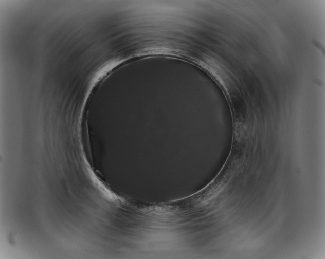 X0000097630995200802291336