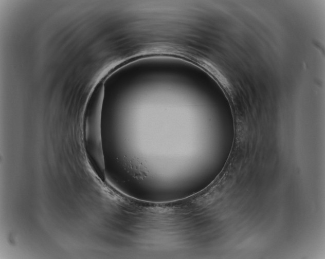X0000097630996200802291336