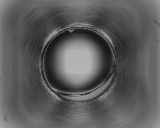 X0000097630997200802291336