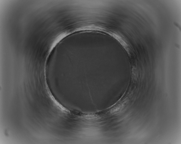 X0000097630998200802291336