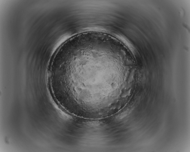 X0000097630999200802291336