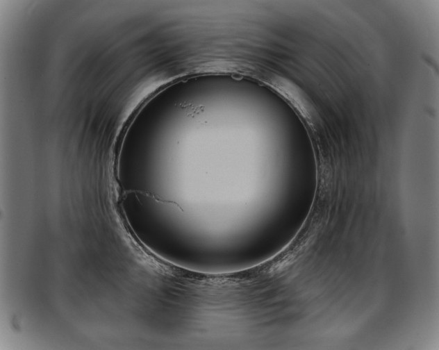 X0000097631000200802291336