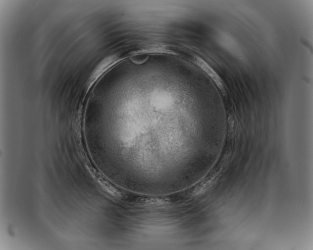 X0000097631002200802291336