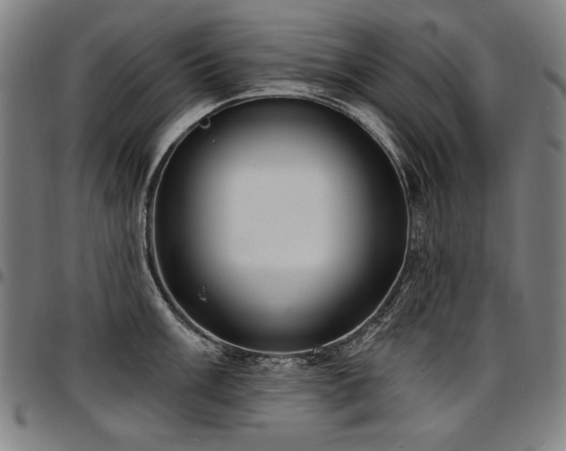 X0000097631003200802291336