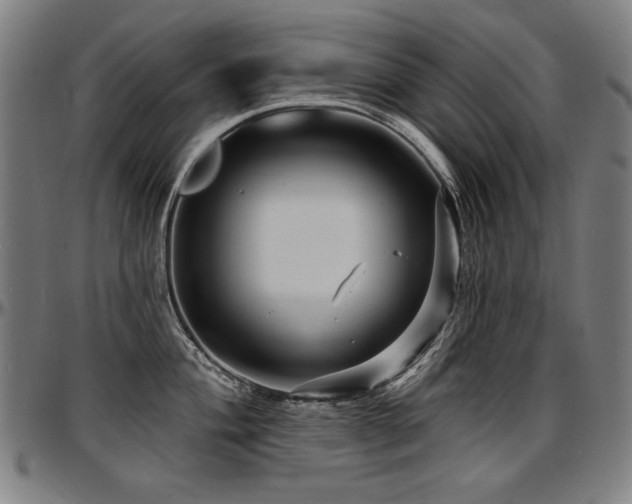 X0000097631004200802291336