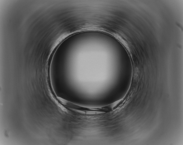 X0000097631005200802291336